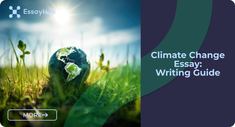 climate change essay