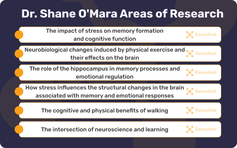 Shane O'Mara Research